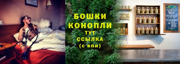дурь Белокуриха