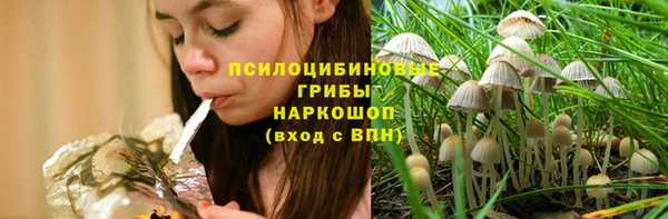 дурь Белокуриха