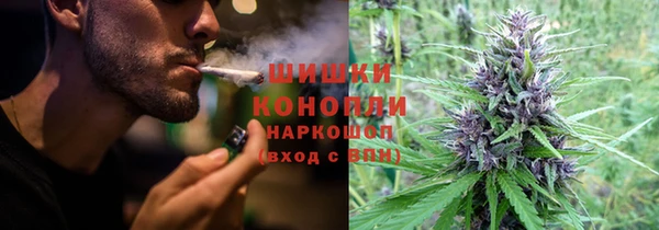 дурь Белокуриха